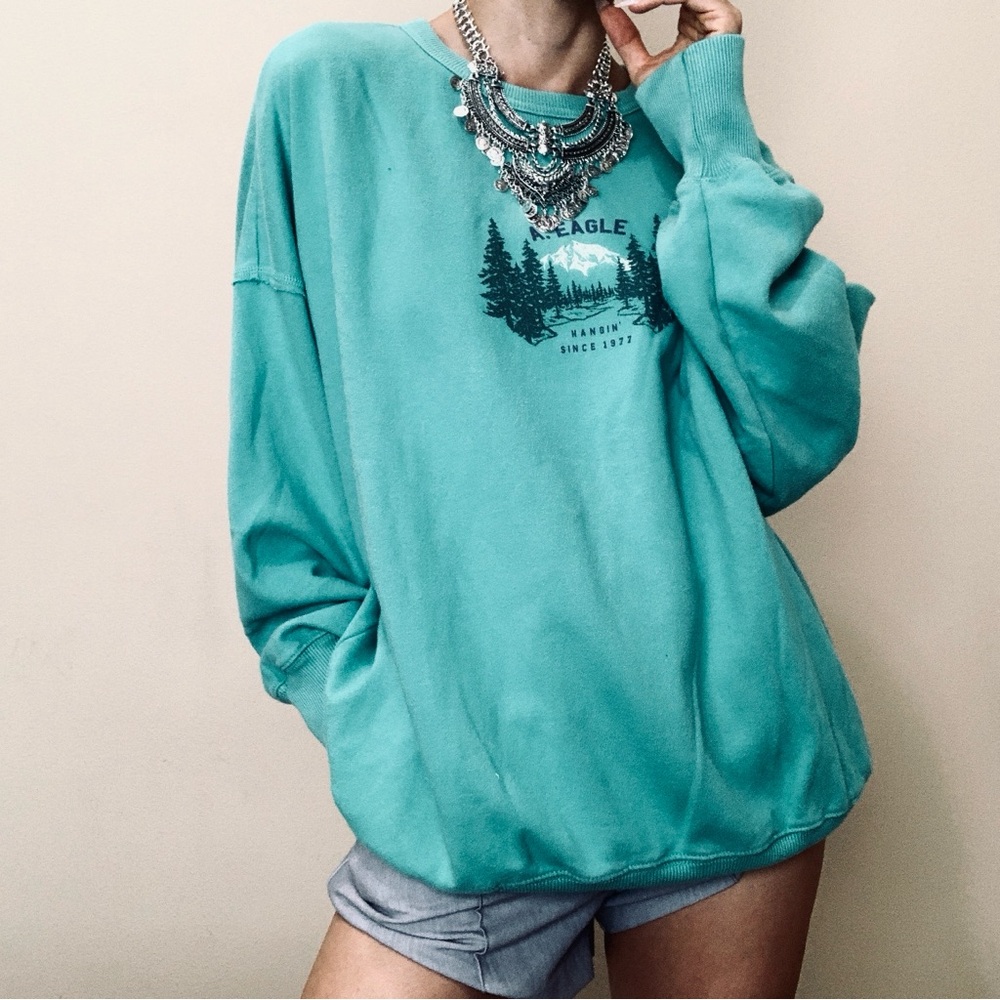 Brand New American eagle baggy sweater shirt L